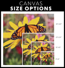 Load image into Gallery viewer, Butterfly