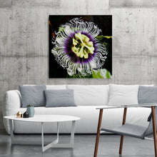 Load image into Gallery viewer, Passiflora