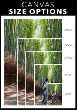 Load image into Gallery viewer, Arashiyama Bamboo Grove