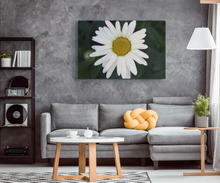 Load image into Gallery viewer, White