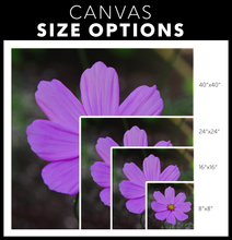 Load image into Gallery viewer, Garden Cosmos