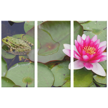 Load image into Gallery viewer, Frog and Flower