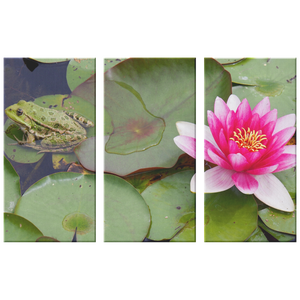 Frog and Flower