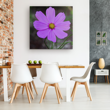 Load image into Gallery viewer, Purple