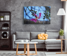 Load image into Gallery viewer, Orchid Tree