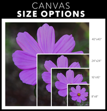 Load image into Gallery viewer, Purple
